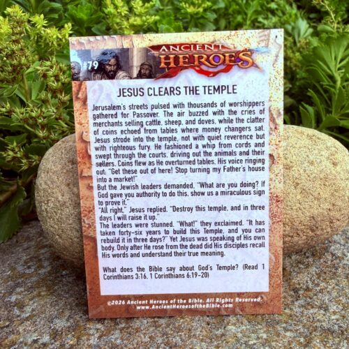 Set 2 - Ancient Heroes Trading Cards – Complete Set/Hard Slider Box - Image 5