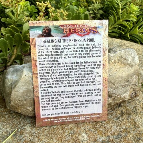 Set 2 - Ancient Heroes Trading Cards – Complete Set/Hard Slider Box - Image 22
